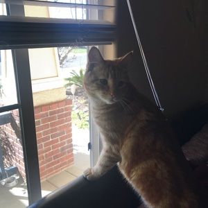 Meet your Posher, Rasha